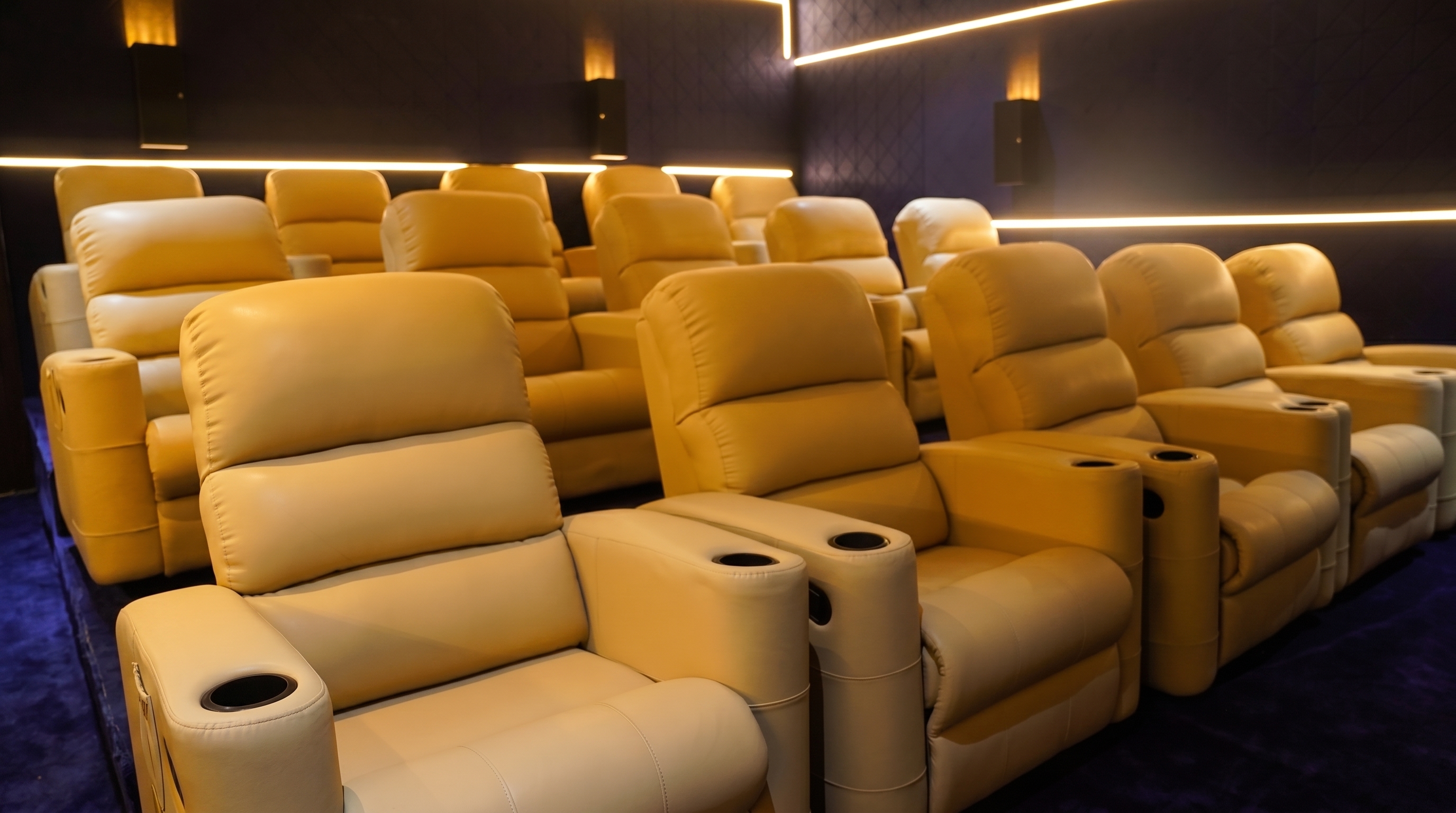 Premium Lounger Seats